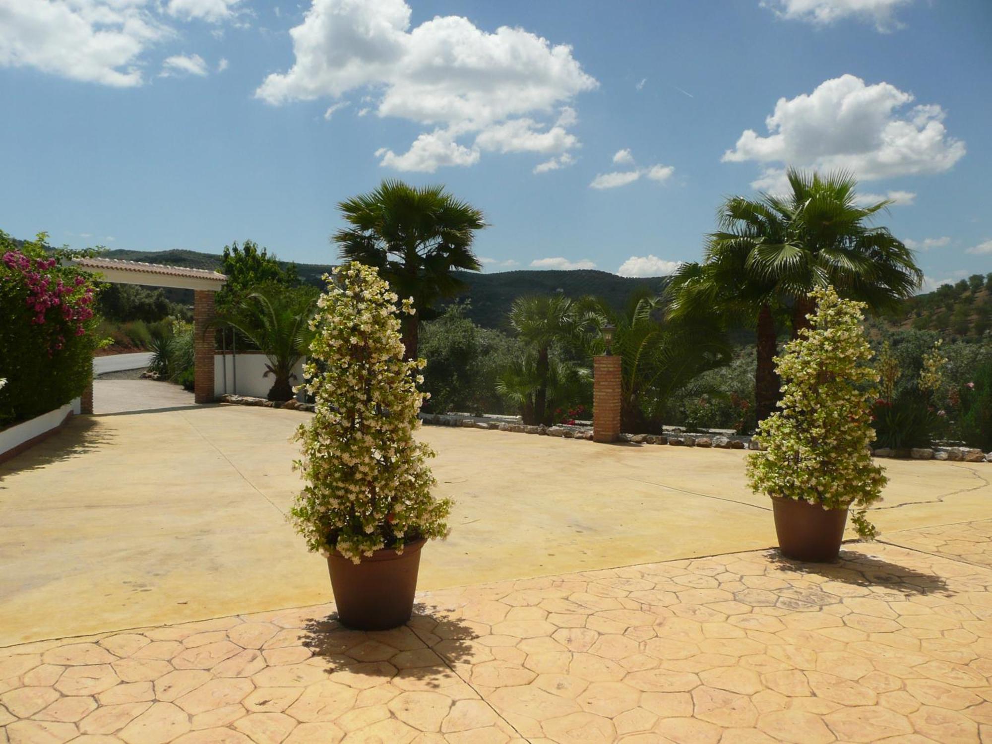 Casa Pino Solo Apartment Iznajar Luaran gambar